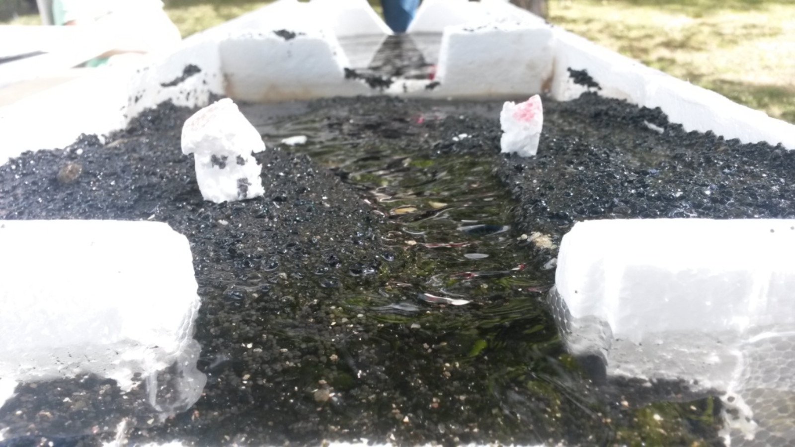 Des rivières en forme(s) pour la