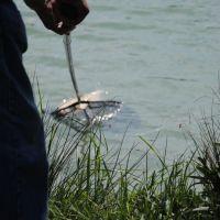 8 hectares de plan d'eau, pour le plus grand plaisir des pêcheurs...