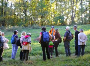 massabrac-animation-echo-rando-smival-natacha-oti