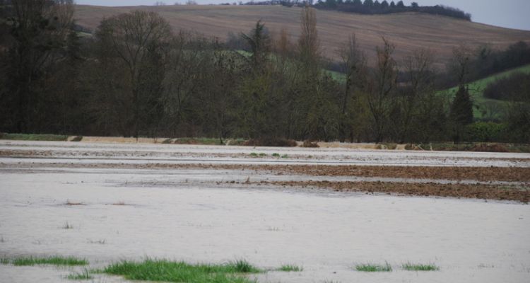La Lèze sort de son lit pour investir sa plaine inondable