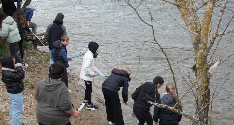 Prélèvement et identification de macro invertébrés sur l'Ariège, 4 avril