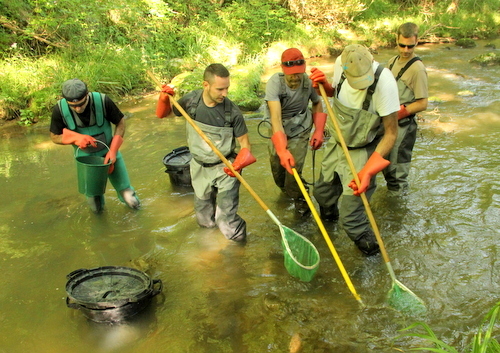 peche electrique pailhes