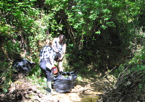 coupe renouee confluence jacquart leze