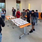 whatsapp-image-2025-11-17-a-15-23-46-fdab7751