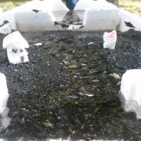 L'évolution des formes des rivières a été appréhendée grâce aux animations proposées autour du modèle réduit