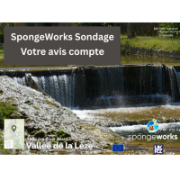 sondage-spw