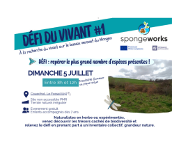 affiche-site