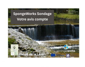 sondage-spw