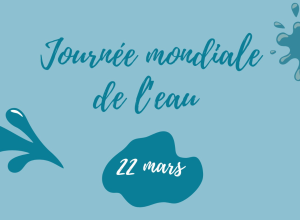 affiche-journee-de-l-eau