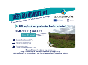 affiche-site