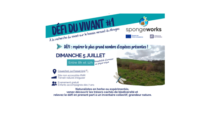 affiche-site