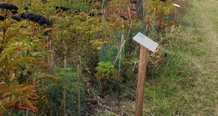 haiemontautseptembre