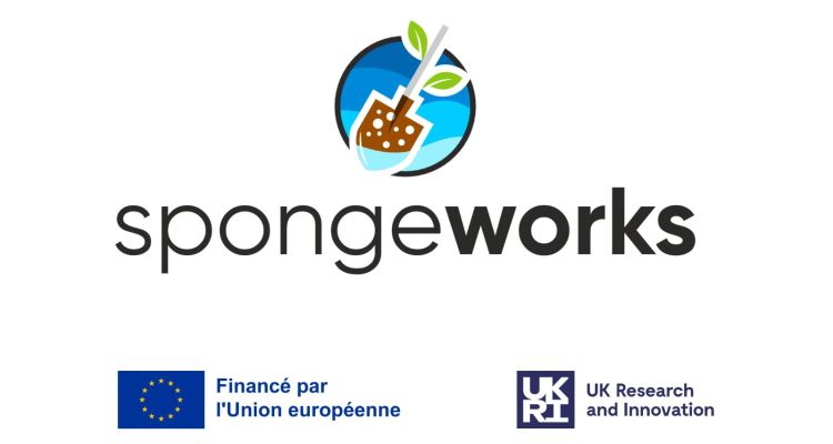 sponge-eu-uk-350ppp-blanc