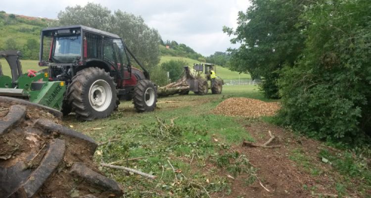 Élagage, débardage et broyage des branchages au lac de Saint Ybars
